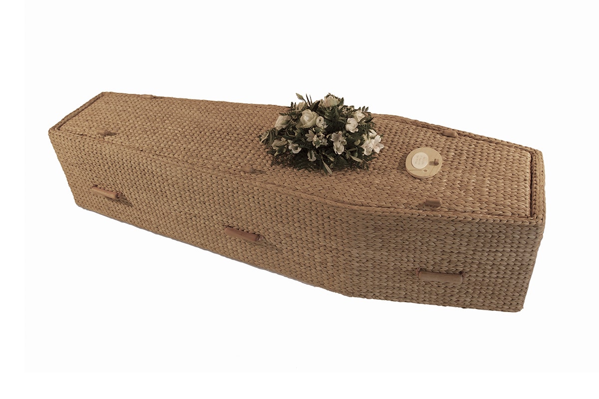 Water Hyacinth - Coffin