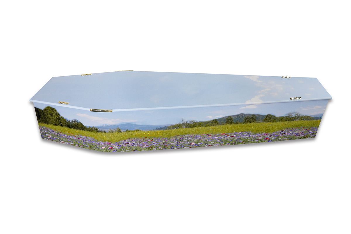 Picture Coffin