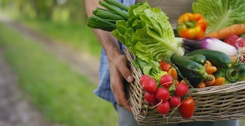 Growing Your own Food